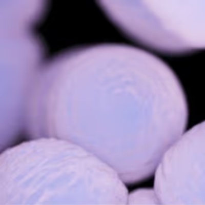 Enterococcus faecium