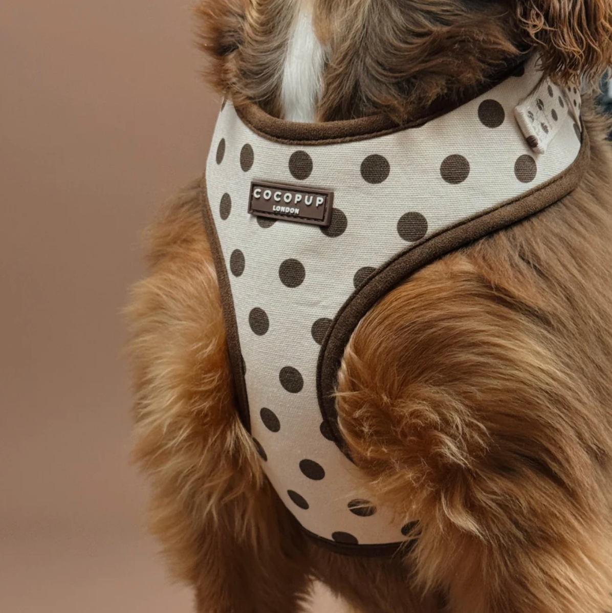Adjustable Harness