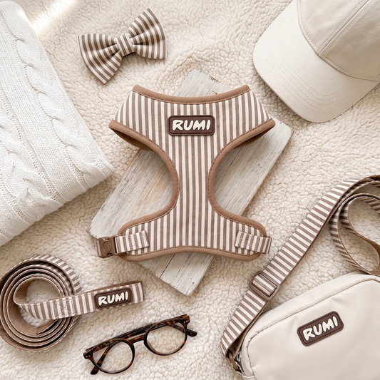 Linen Stripe | The Everyday Harness