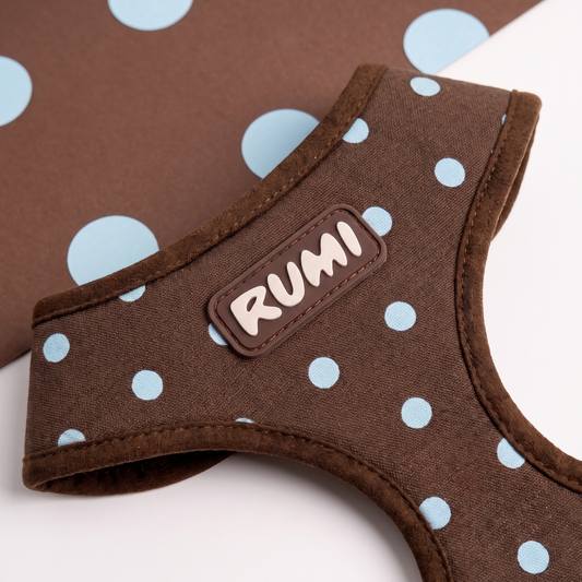 Chocolate Polka | The Everyday Harness