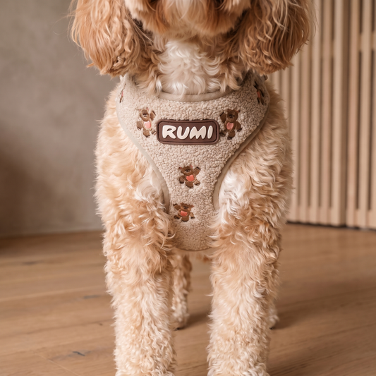 Teddy | The Everyday Harness