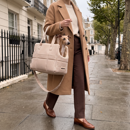 Linen Stripe | The Shoulder Carrier