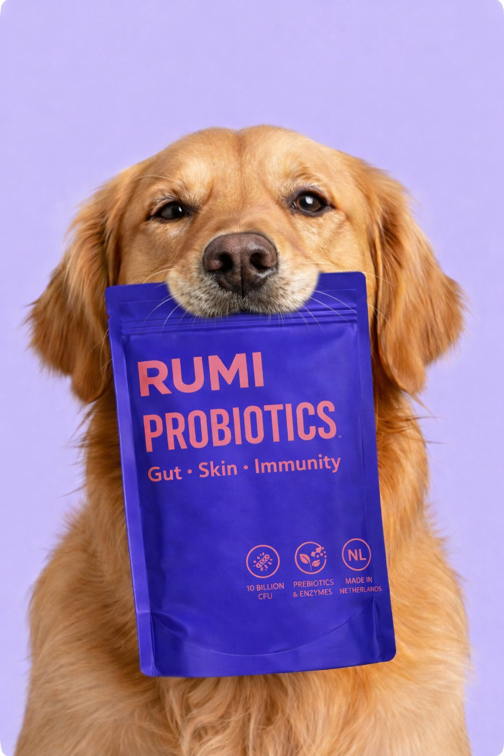 Why Dog Owners Choose RUMI