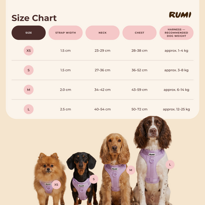 Lilac Sorbet | The Everyday Harness