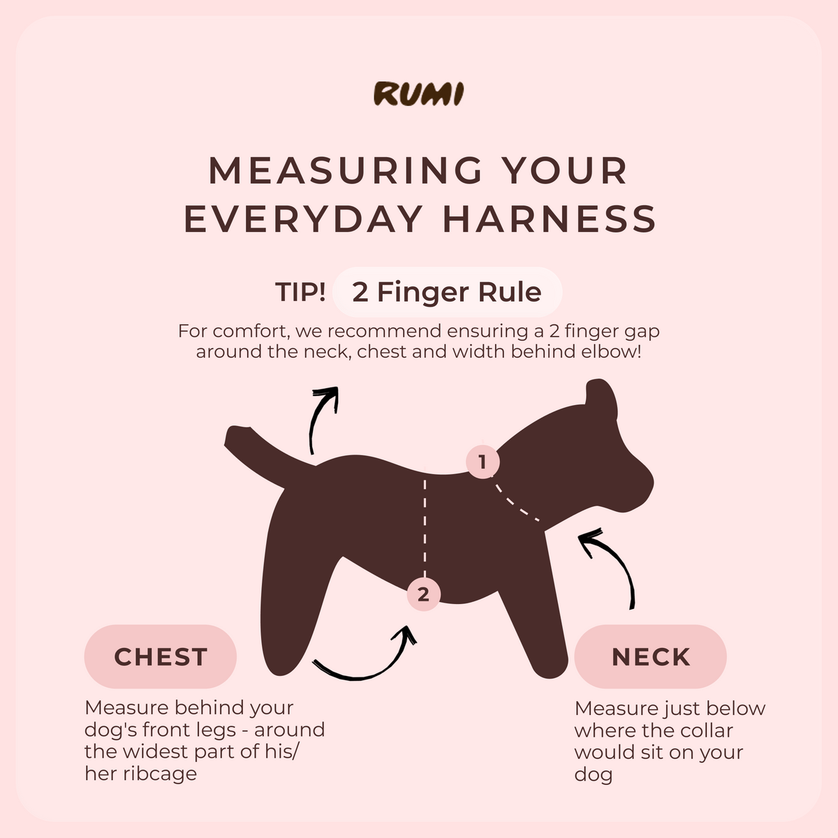 Praline | The Everyday Harness