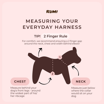 Praline | The Everyday Harness