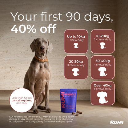 Probiotic Soft Chews