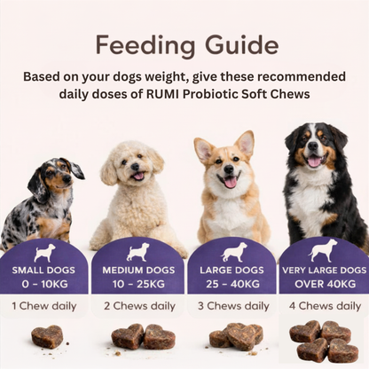 Probiotic Soft Chews