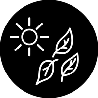 Helps With Itching & Sensitive Stomachs