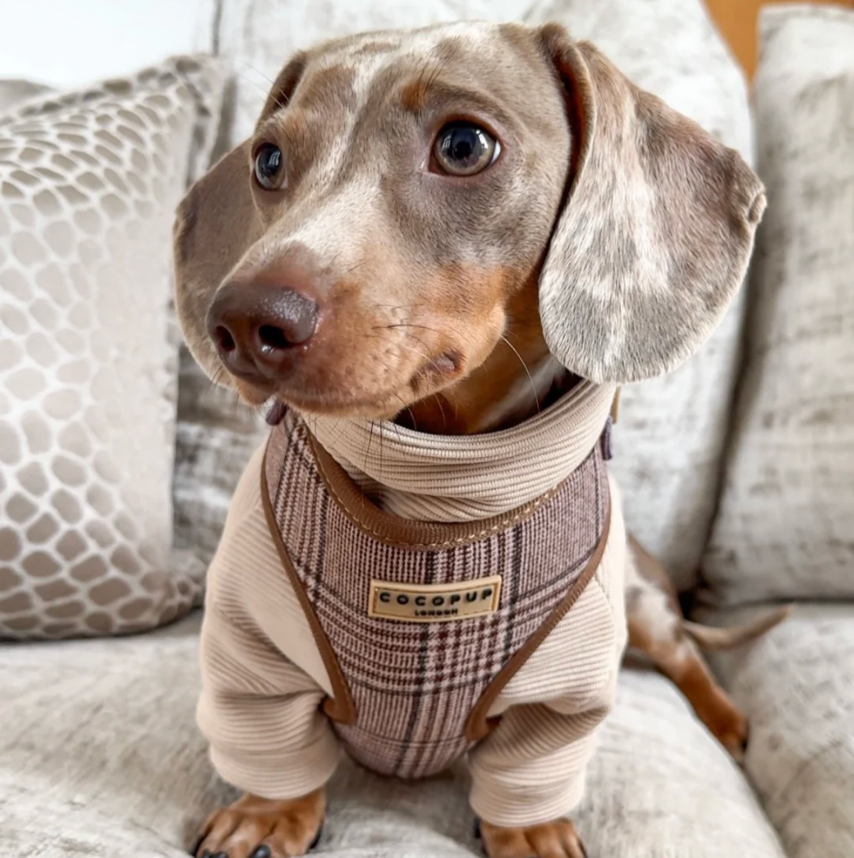 Adjustable Harness
