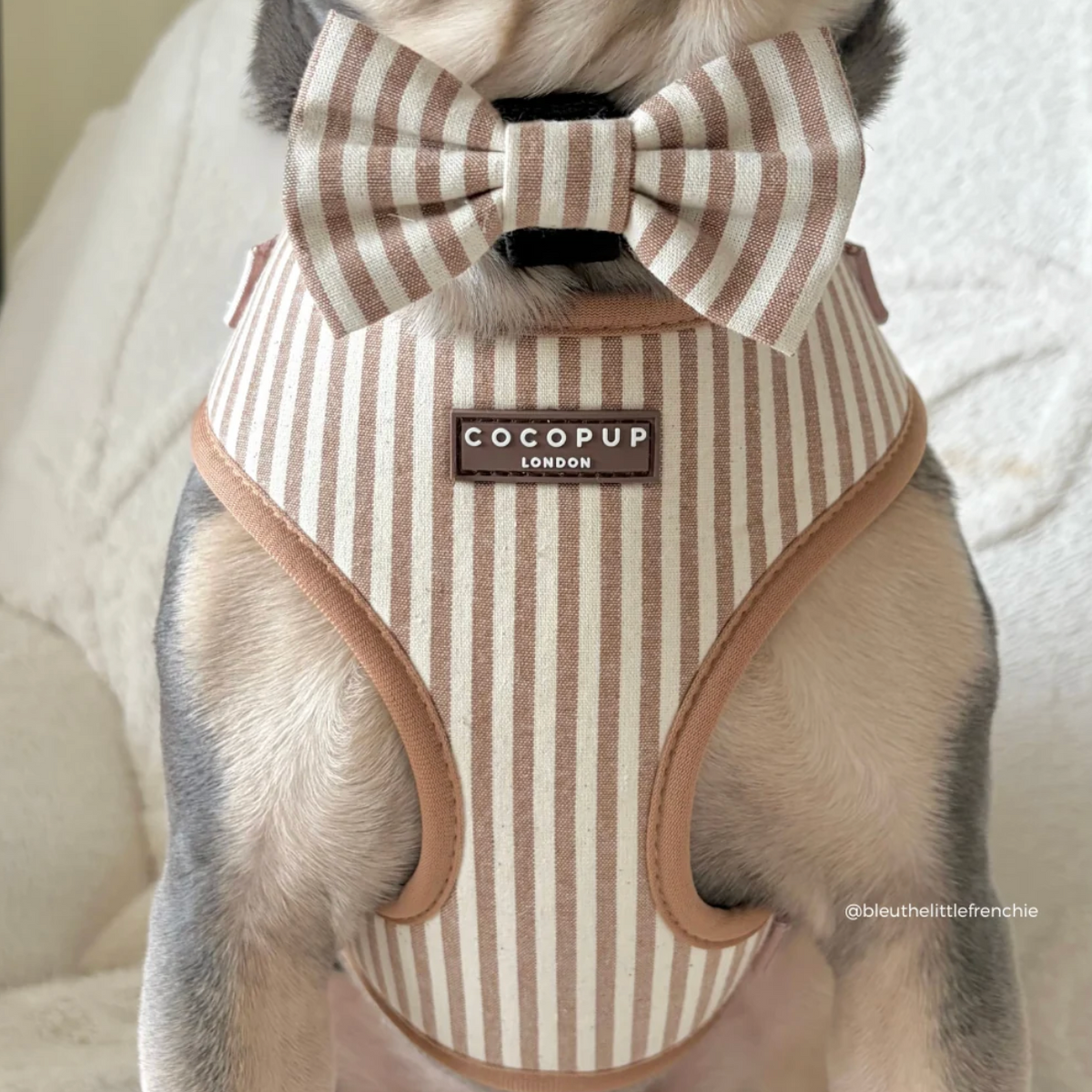Adjustable Harness