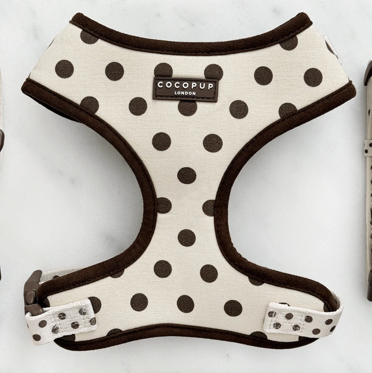 Adjustable Harness