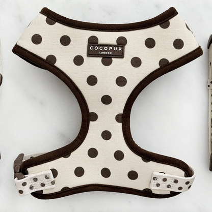 Adjustable Harness