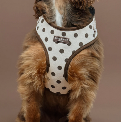Adjustable Harness
