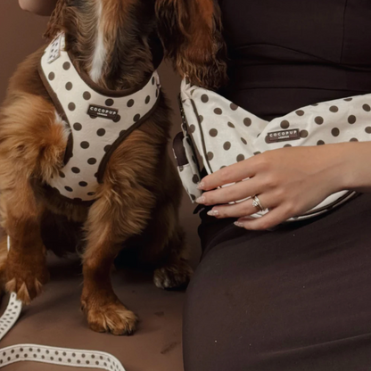 Adjustable Harness