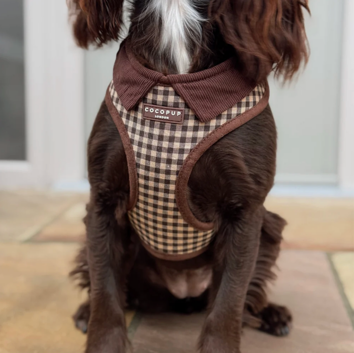 Adjustable Harness