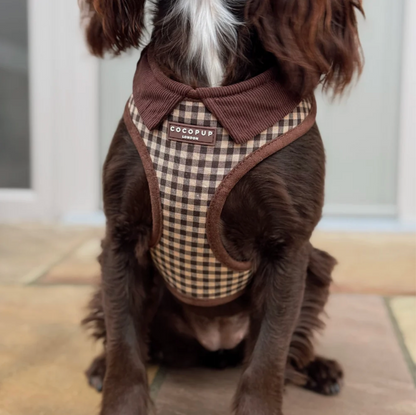 Adjustable Harness