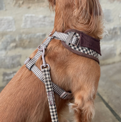 Adjustable Harness