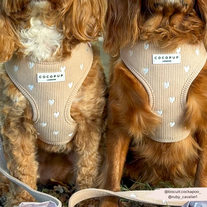 Adjustable Harness