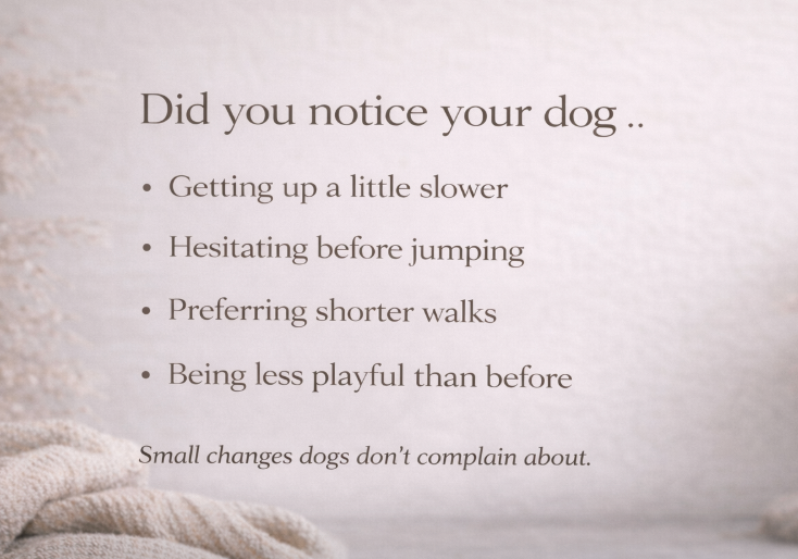 Hip & Joint Support Chews