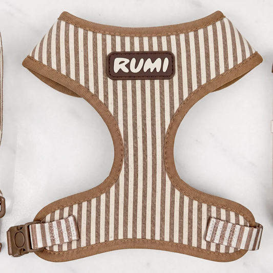 Linen Stripe | The Everyday Harness