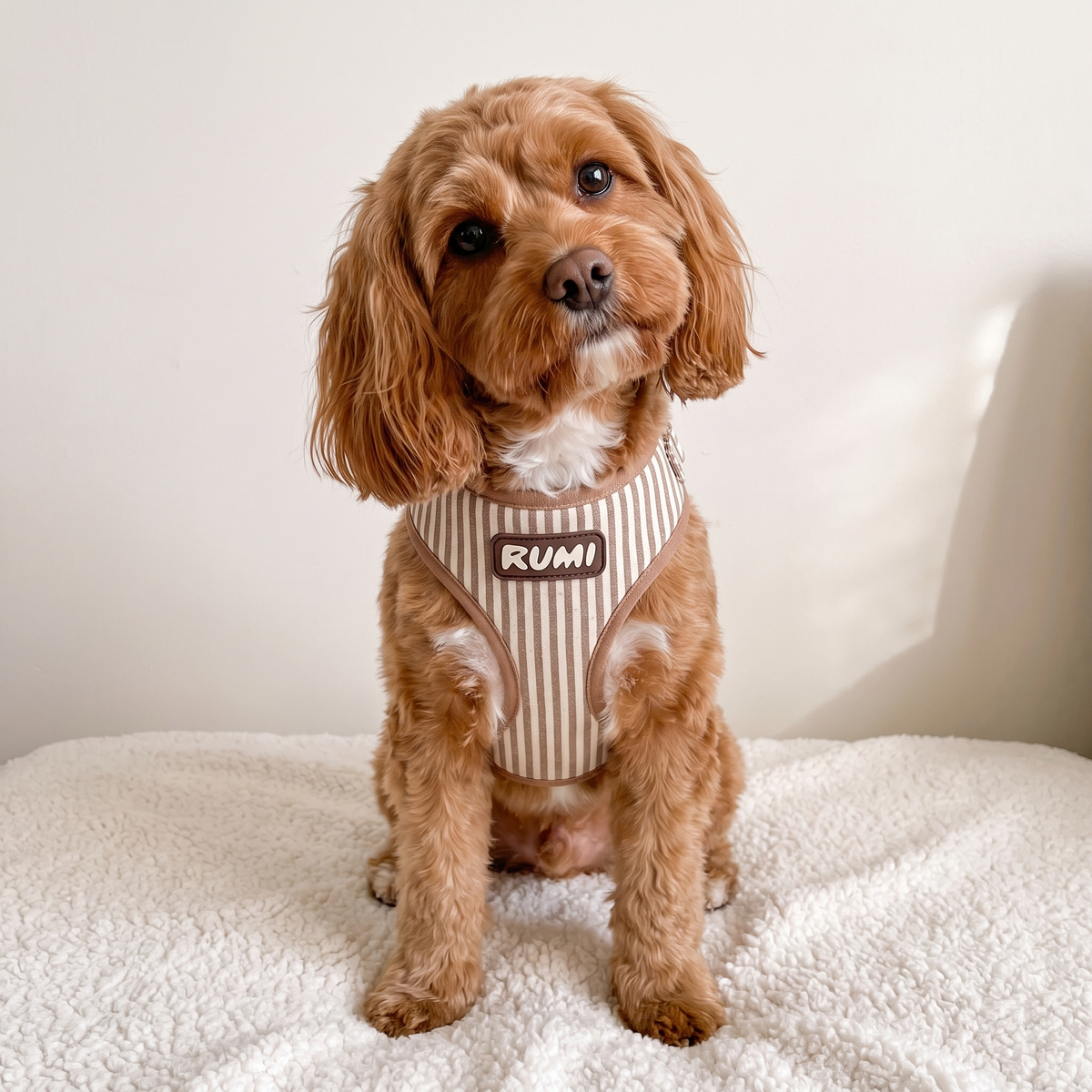 Linen Stripe | The Everyday Harness