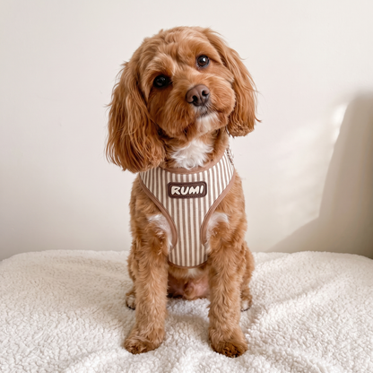 Linen Stripe | The Everyday Harness