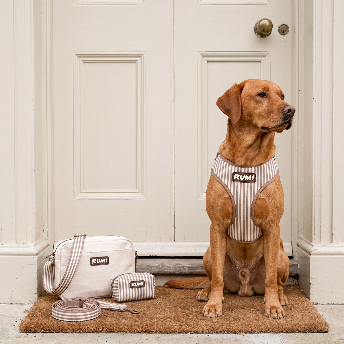 Linen Stripe | The Everyday Harness