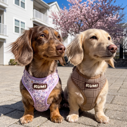 Hazelnut Check | The Everyday Harness