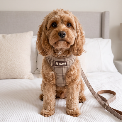 Hazelnut Check | The Everyday Harness
