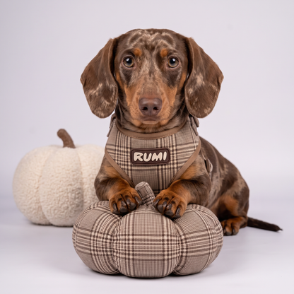 Hazelnut Check | The Everyday Harness
