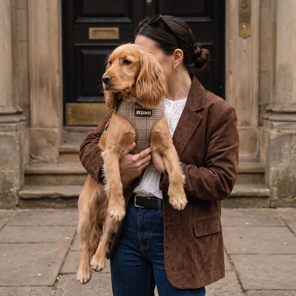 Hazelnut Check | The Everyday Harness