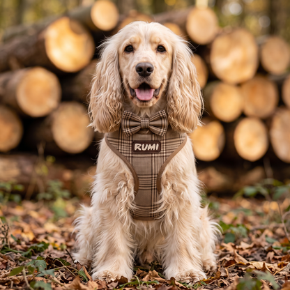 Hazelnut Check | The Everyday Harness