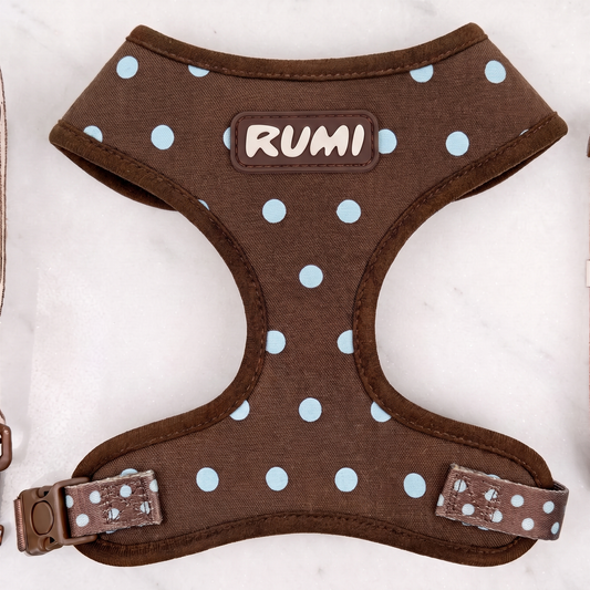 Chocolate Polka | The Everyday Harness