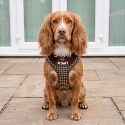 Hazelnut Gingham | The Everyday Harness
