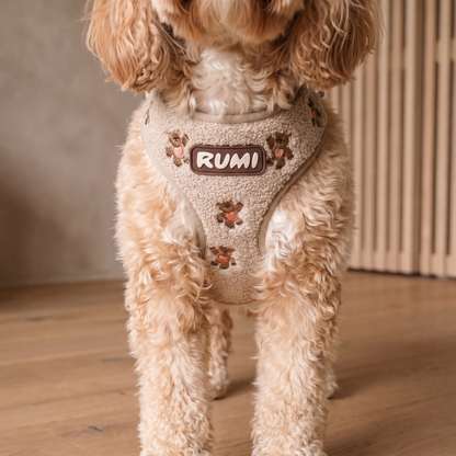 Teddy | The Everyday Harness