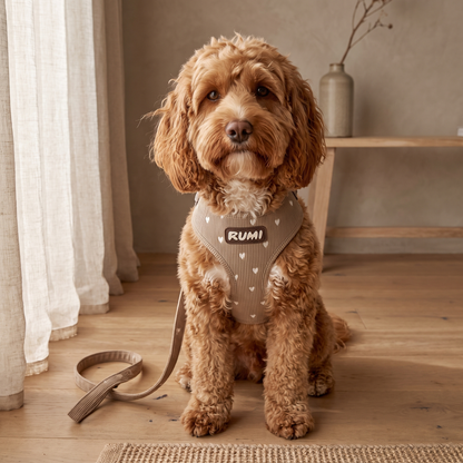 Hazelnut Hearts | The Everyday Harness