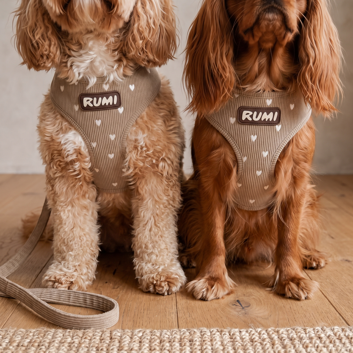 Hazelnut Hearts | The Everyday Harness