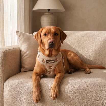 Teddy | The Everyday Harness