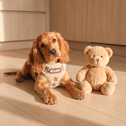 Teddy | The Everyday Harness