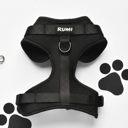 Liquorice | The Everyday Harness