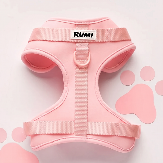 Marshmallow | The Everyday Harness