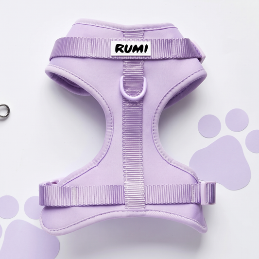 Lilac Sorbet | The Everyday Harness