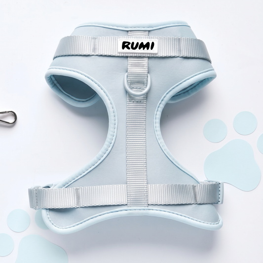 Glacier | The Everyday Harness