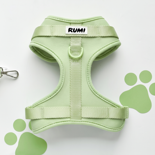 Pistachio | The Everyday Harness