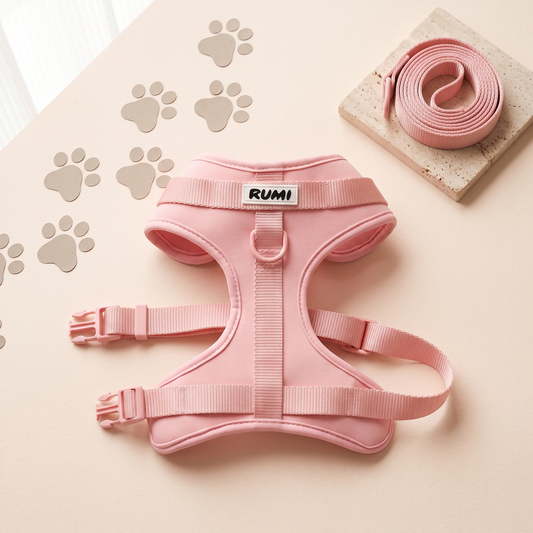 Marshmallow | The Everyday Harness