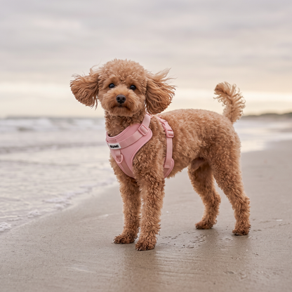 Marshmallow | The Everyday Harness