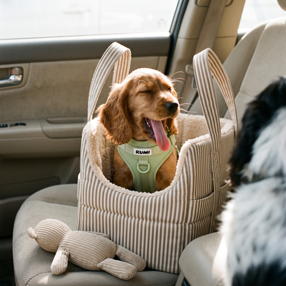 Pistachio | The Everyday Harness