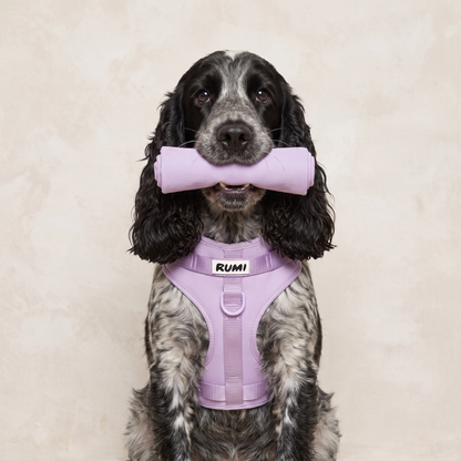 Lilac Sorbet | The Everyday Harness