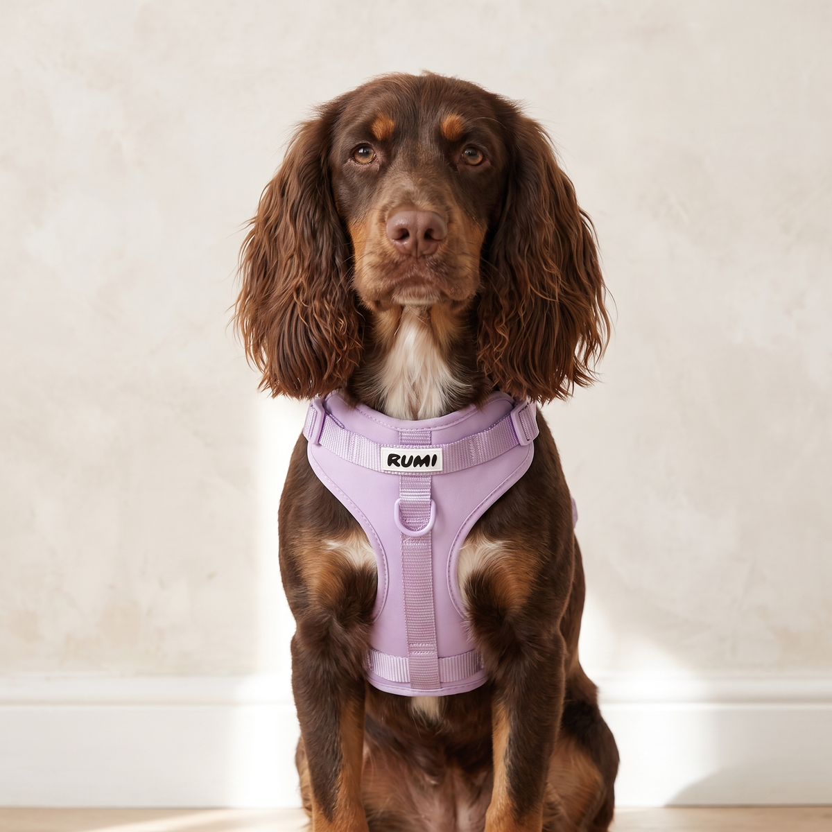 Lilac Sorbet | The Everyday Harness